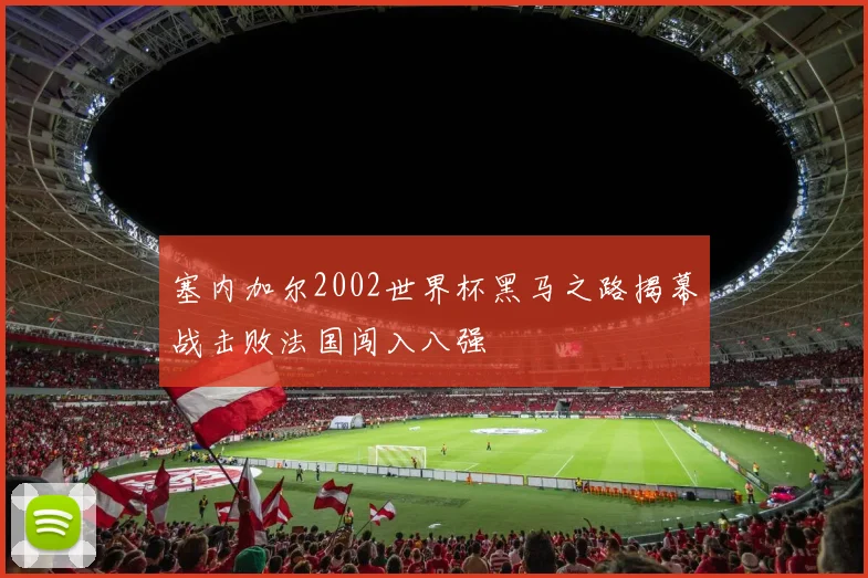 塞内加尔2002世界杯黑马之路揭幕战击败法国闯入八强