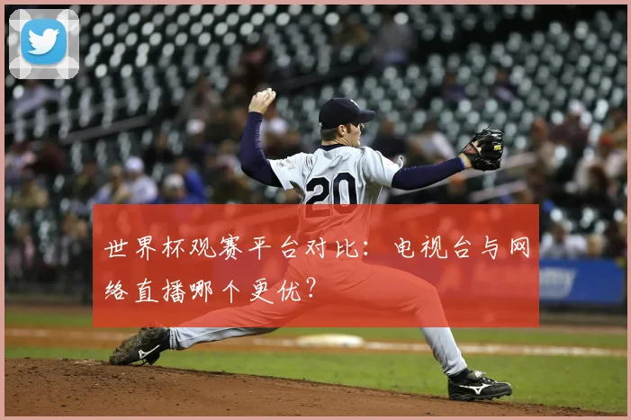 世界杯观赛平台对比:电视台与网络直播哪个更优?